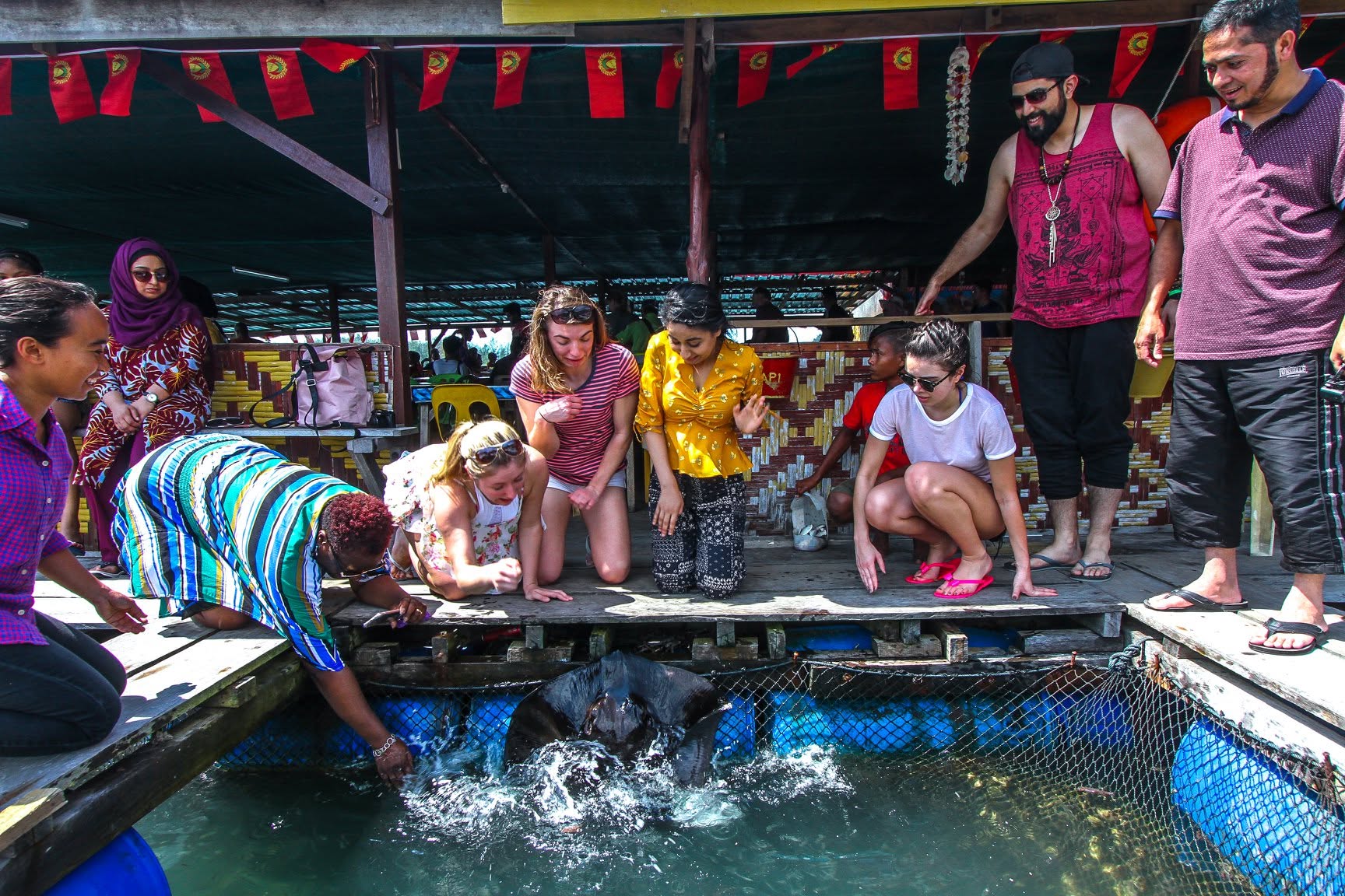Langkawi island hopping and mangrove tour