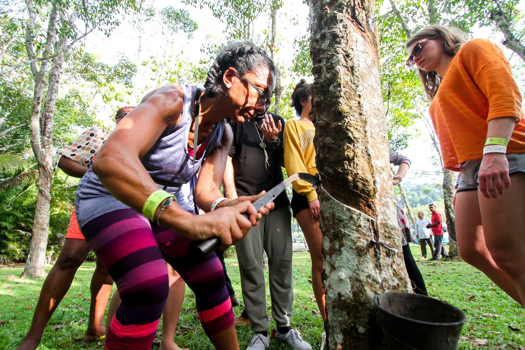 Rubber tree tapping experience with local community