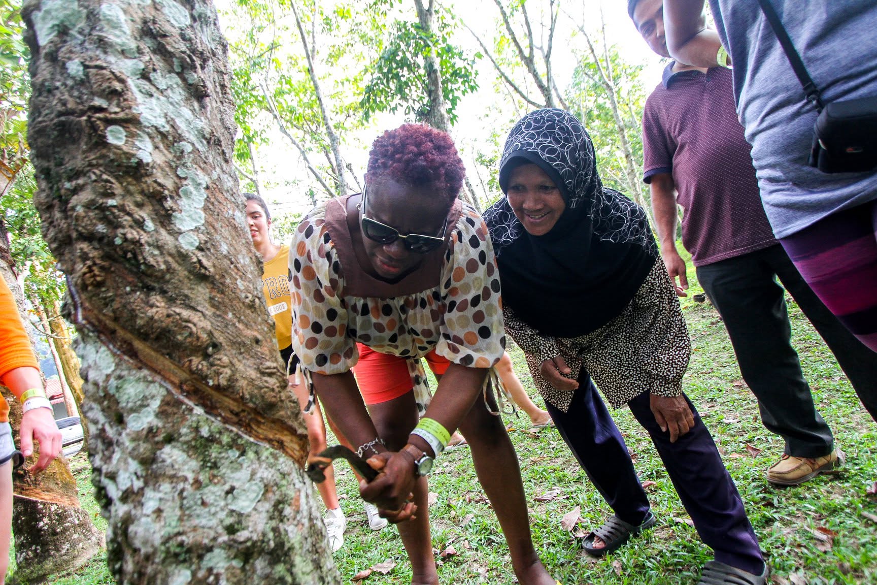 Rubber tree tapping experience with local community